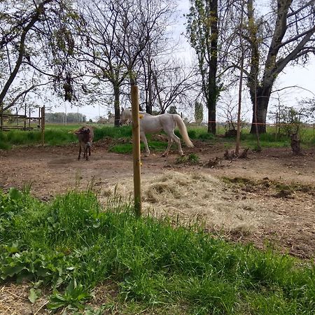 La Maison Rouge Crespellano Kültér fotó