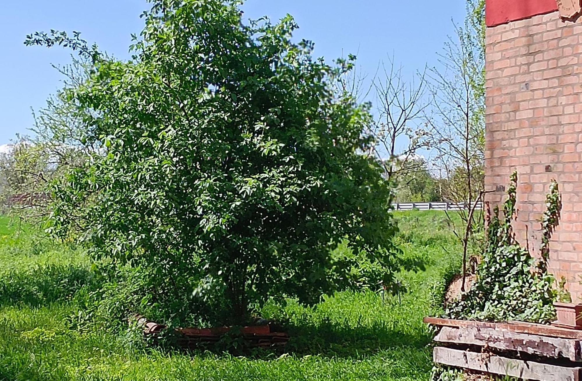 La Maison Rouge Crespellano Kültér fotó